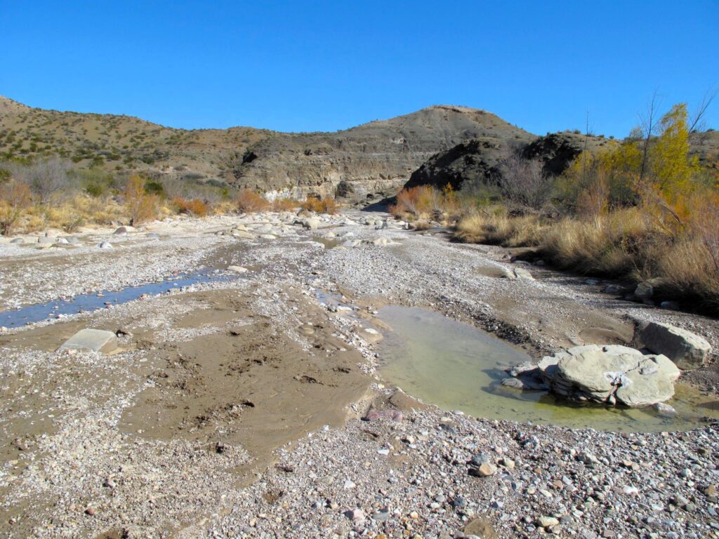 Stream in the Big Bend National Park. Photo by Ben H. English