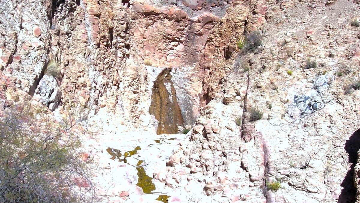 San Jacinto Spring trickling from a cliff face in the Big Bend National Park.