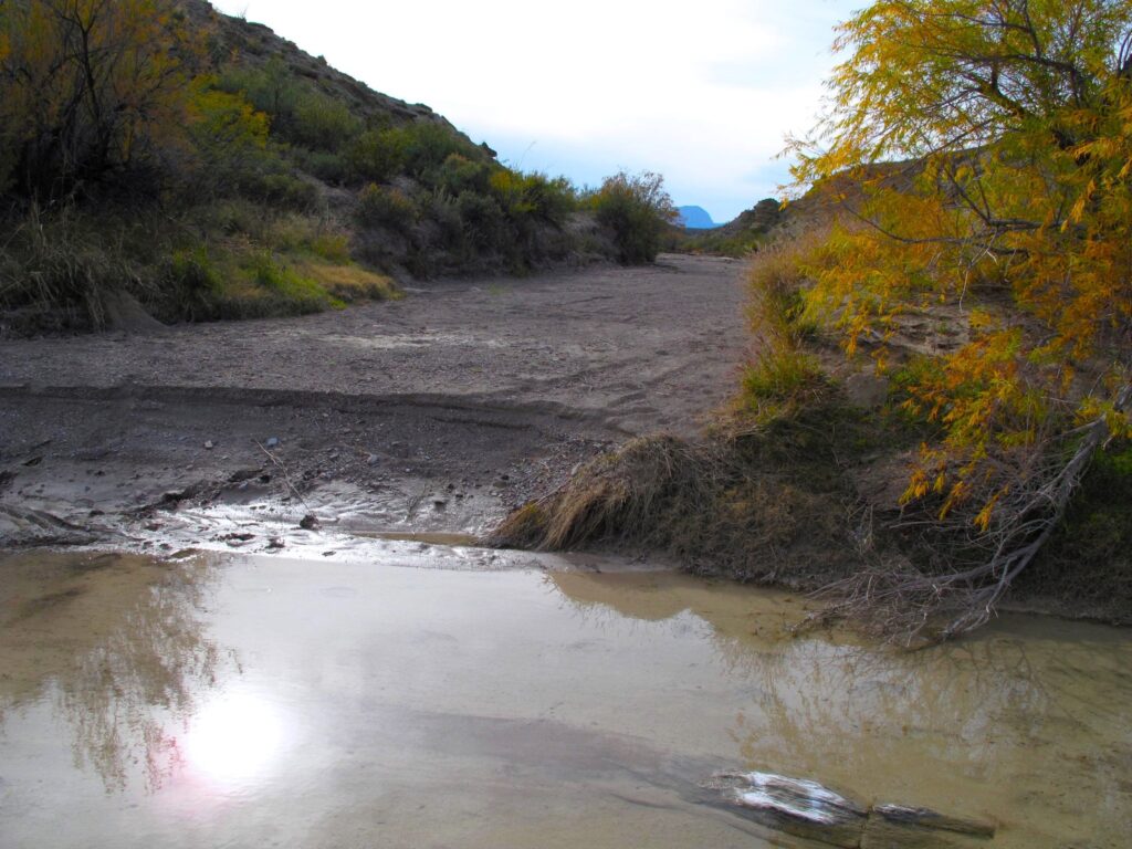 Streambed in Big Bend National Park