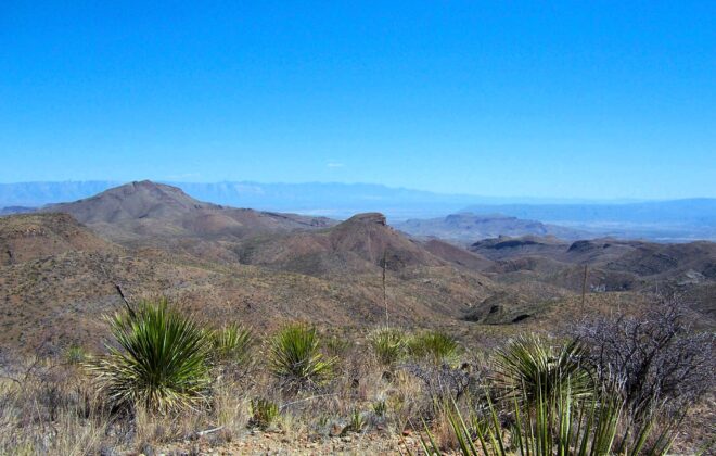 A scenic view of Elephant Tusk mountain in Big Bend National Park.