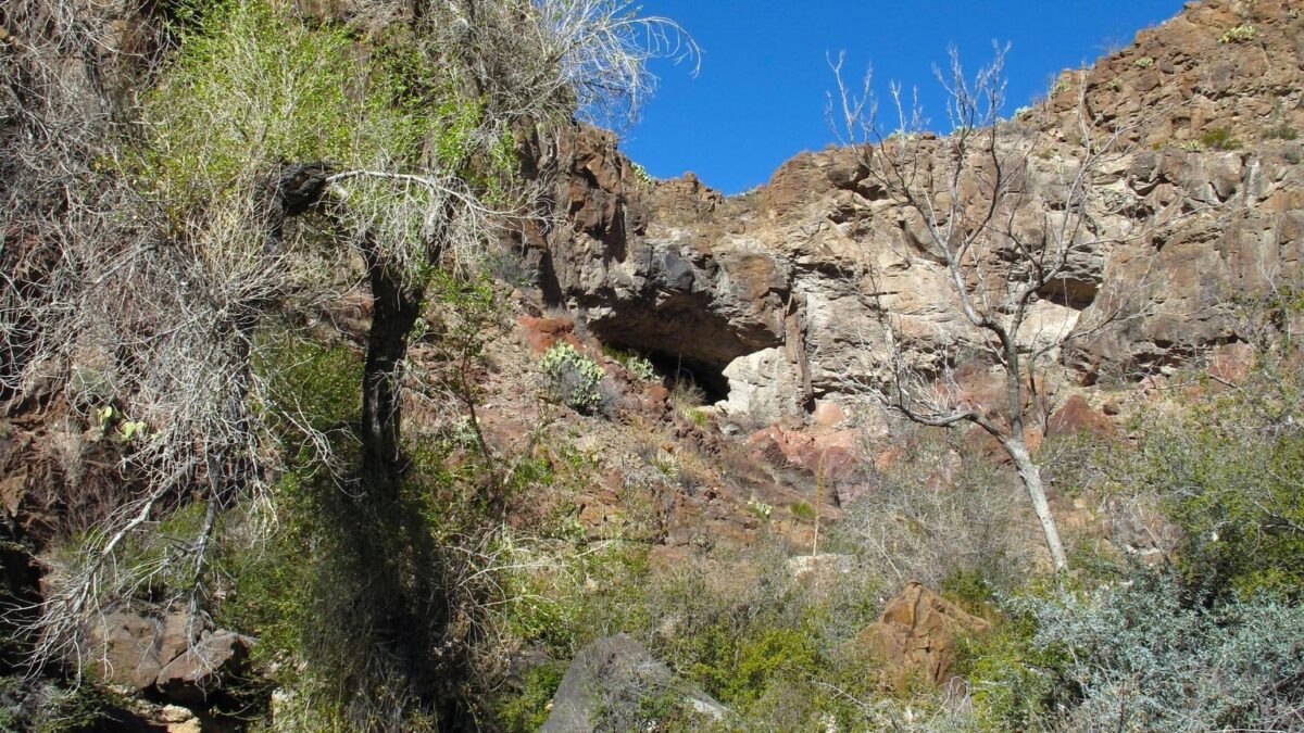 Prehistoric cave set into the side of Burro Mesa in Big Bend National Park.