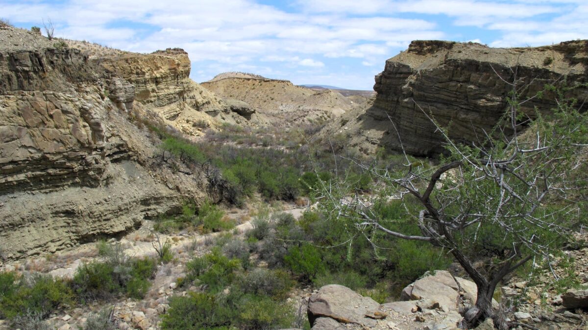 Desert canyon filled with green vegetation in the bottom indicating the presence of water in Big Bend National Park.