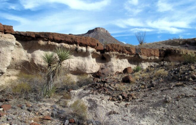 Rimrock of red stone with white soil beneath. Beautiful blue sky in above with desert flora in the foreground.